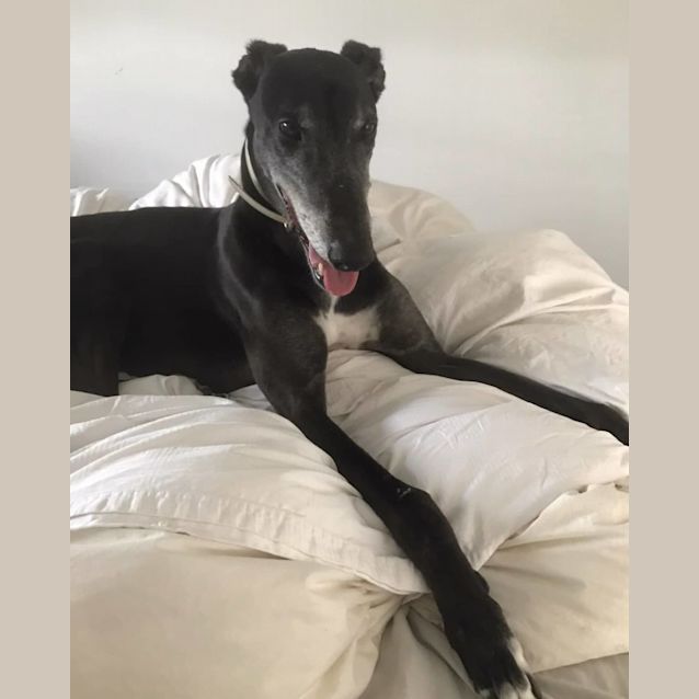 Photo of Jack