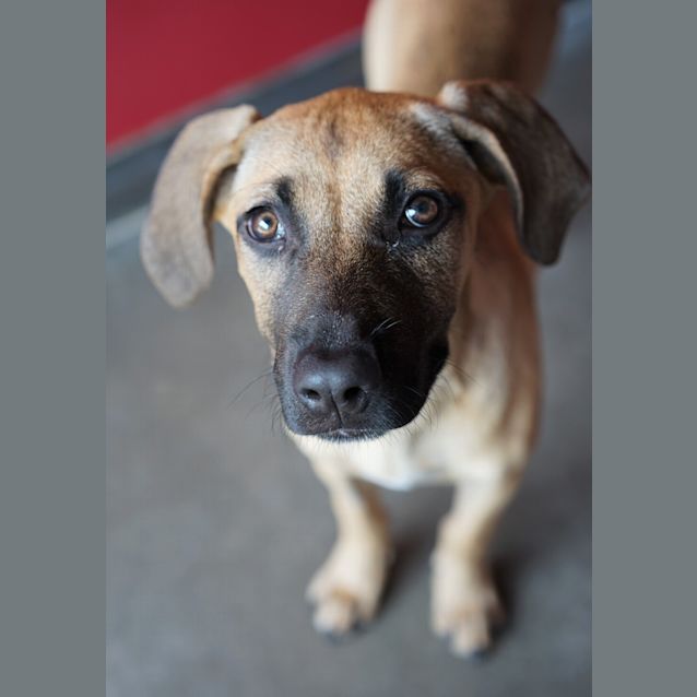 Photo of Cali