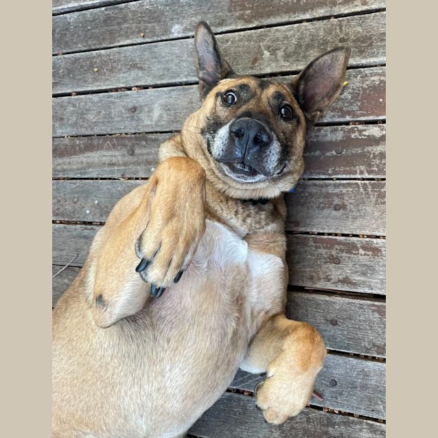 Photo of Gus Dl2773