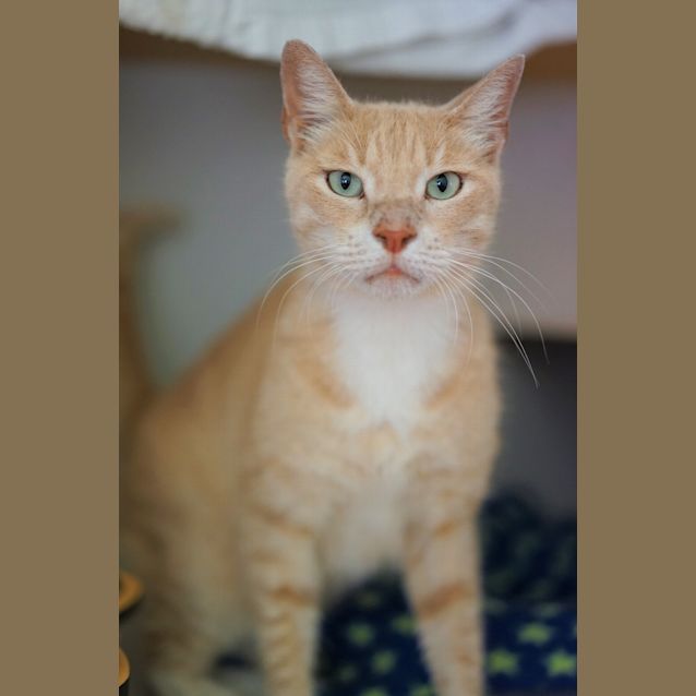 Photo of Major