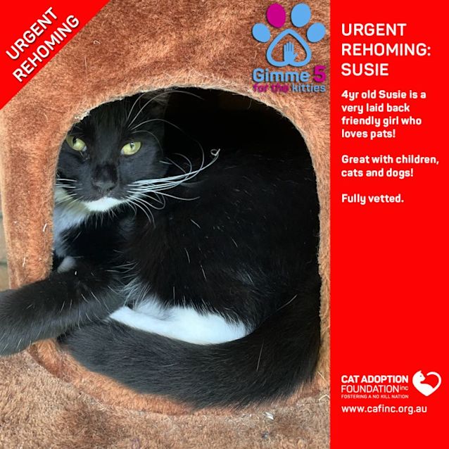 Photo of Susie