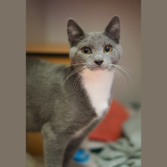 Photo of Franklin