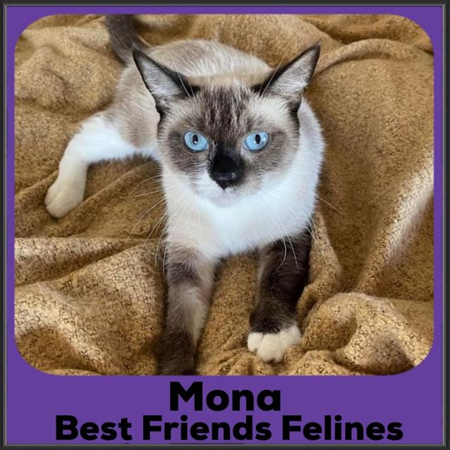 Photo of Mona 