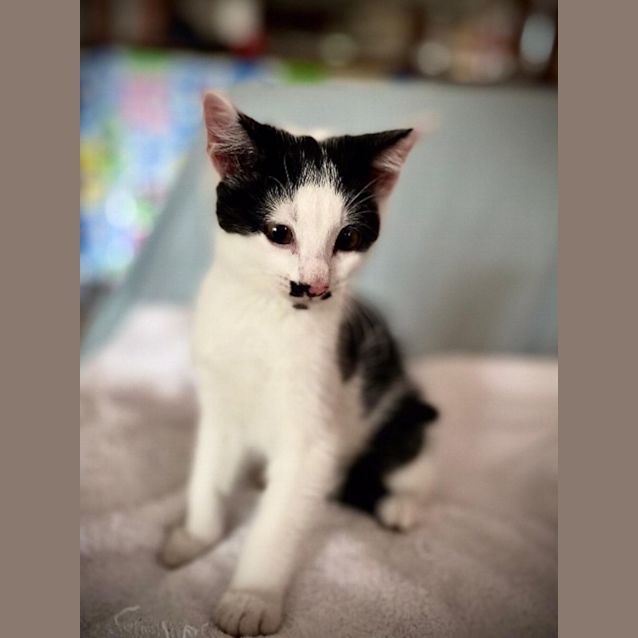 Photo of Carina & Romeo