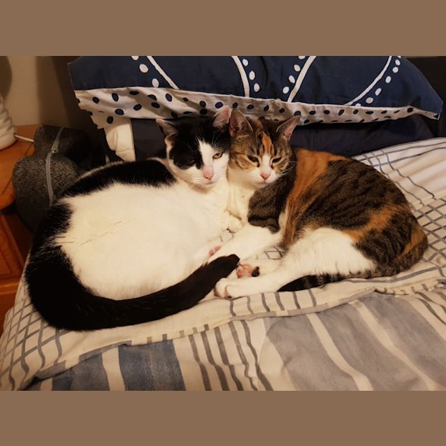 Photo of Barbara & Buckley