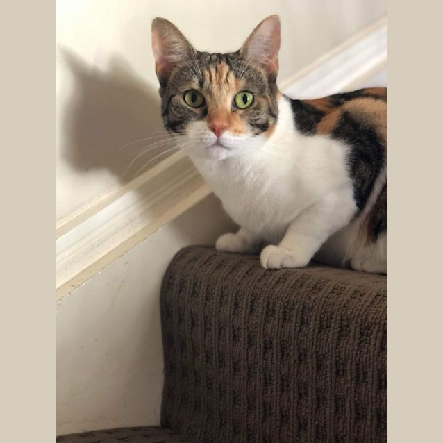 Photo of Charlene 