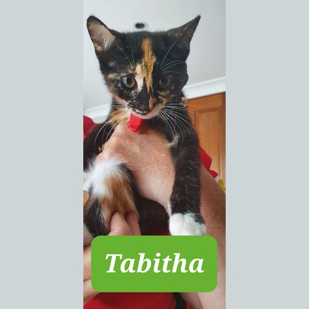 Photo of Tabitha