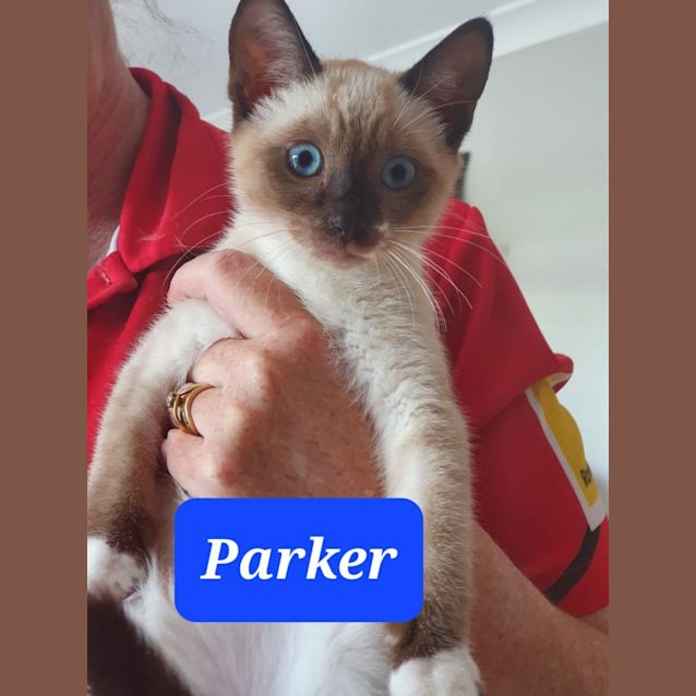 Photo of Parker