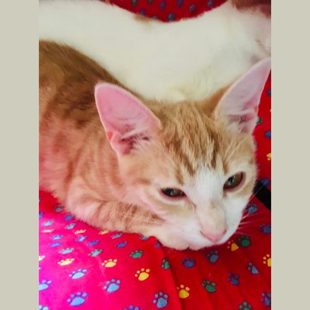 Photo of Harry & Sebastian 