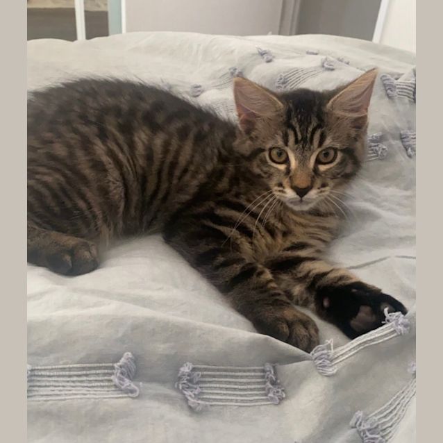 Photo of Bruce