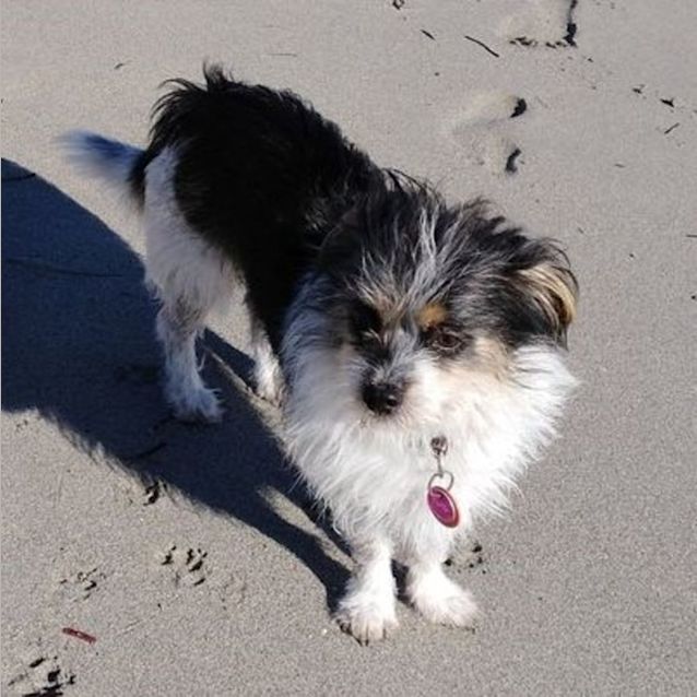 Photo of Polly Dl2792