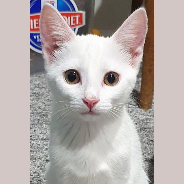 Photo of A Little Gem..