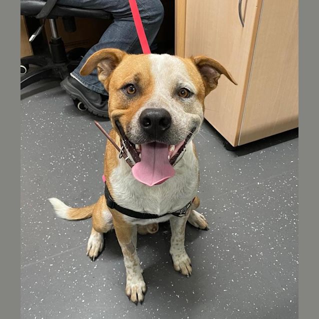 Photo of Buster