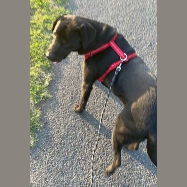 Photo of Zeus