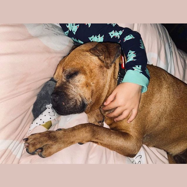 Photo of Diesel 