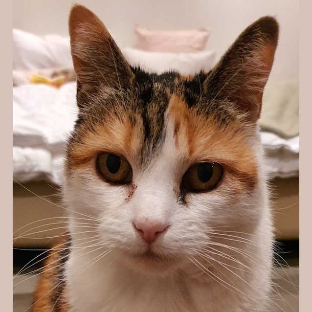 Photo of Cindy