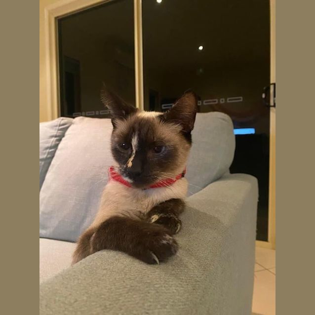 Photo of Milko 