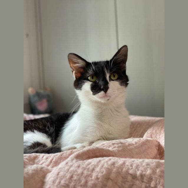 Photo of Smudge