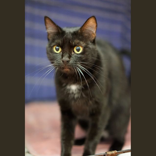 Photo of Selina