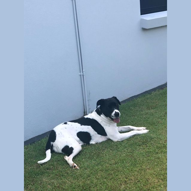 Photo of Rosie