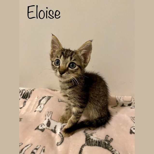 Photo of Eloise