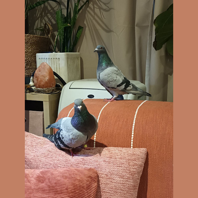 Photo of Arthur & Martha 