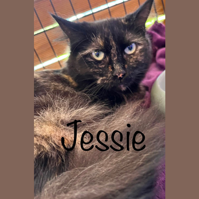 Photo of Jessie