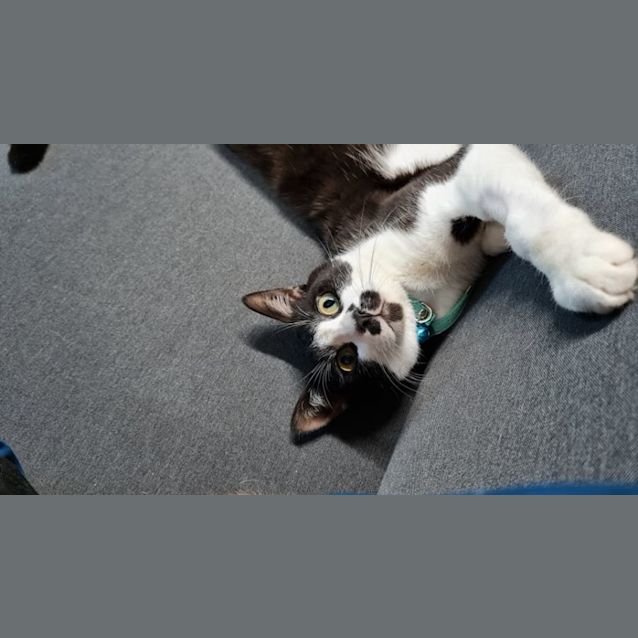 Photo of Mimi   Located In Clifton Hill 