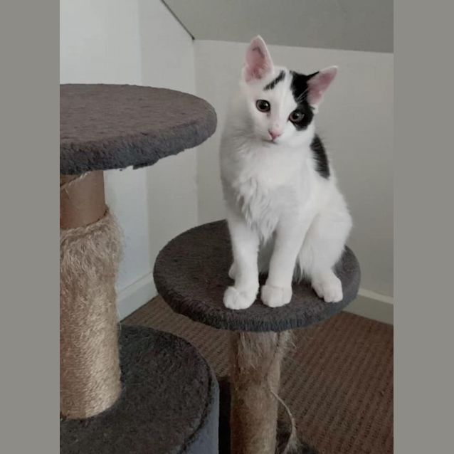 Photo of Pablo And Posy