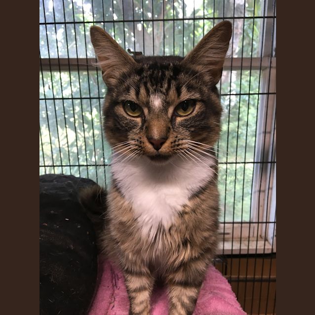 Photo of Maverick