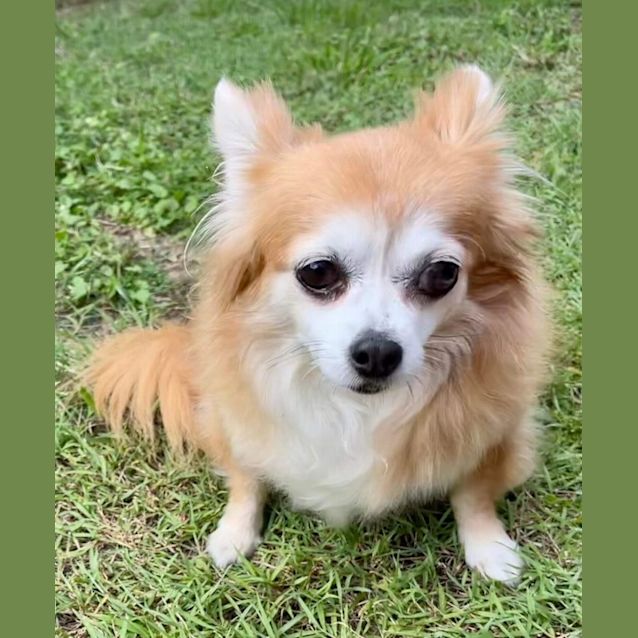 Photo of Cleo And Pepper