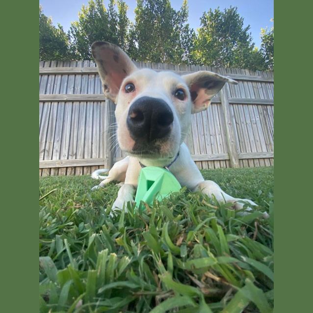 Photo of Pippi
