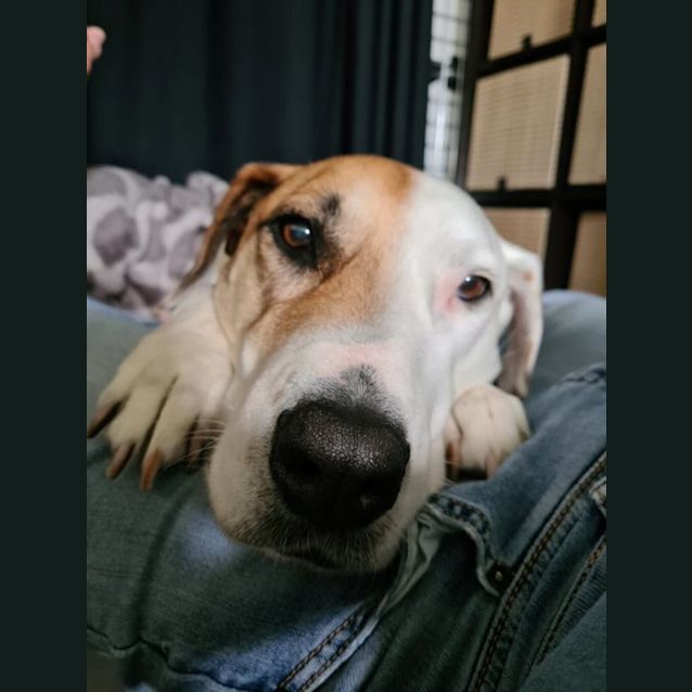 Photo of Butter