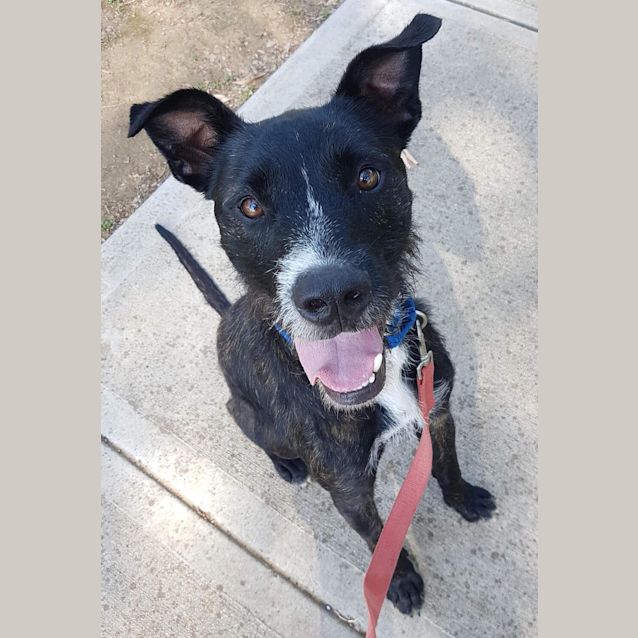 Photo of Louie