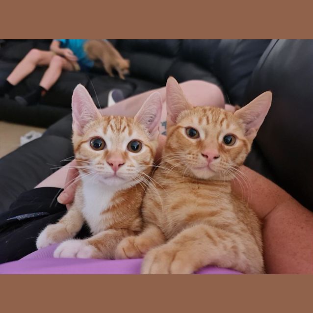 Photo of Tom Yum & Som Tam