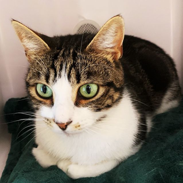 Photo of Dante Sua009597