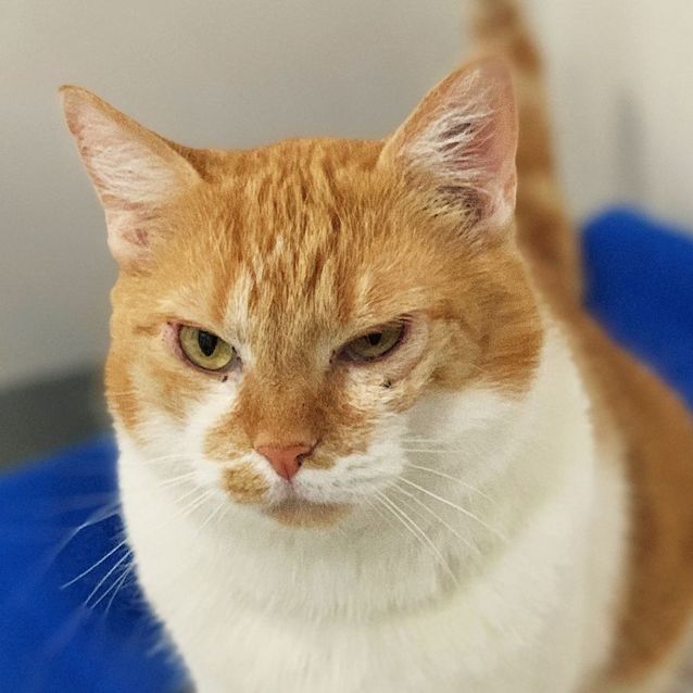 Photo of Twisty Sua009271