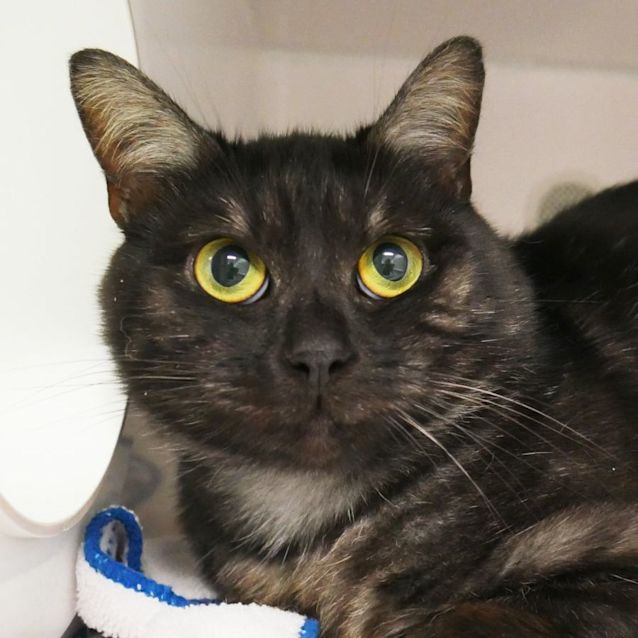 Photo of Lionel Sta009223