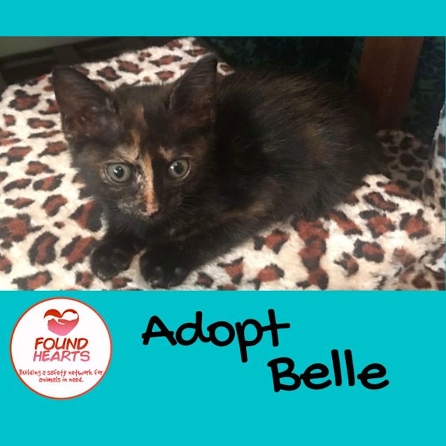 Photo of Belle