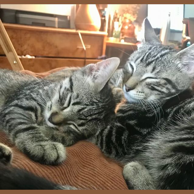 Photo of Min And Ravioli