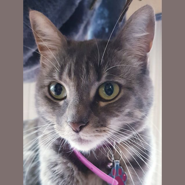 Photo of Maryjane (Mj)