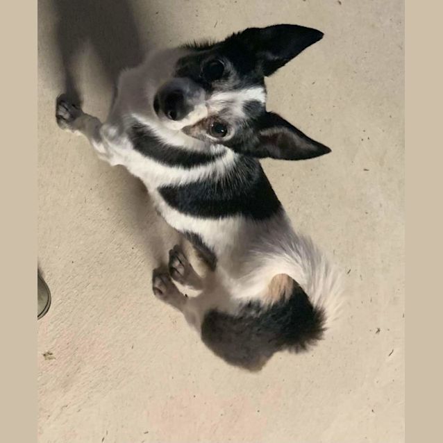 Photo of Little Rock