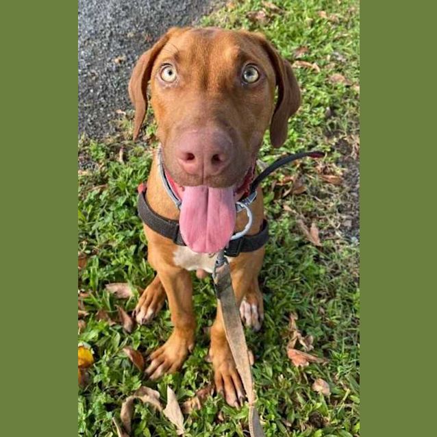 Photo of Ralph
