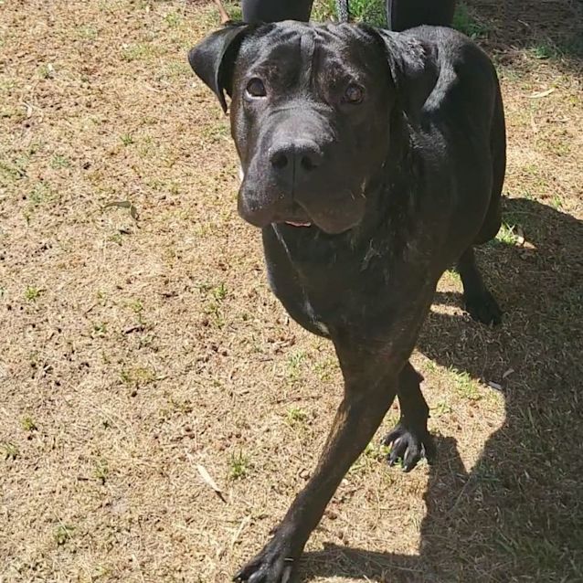 Photo of Faith Dl2780