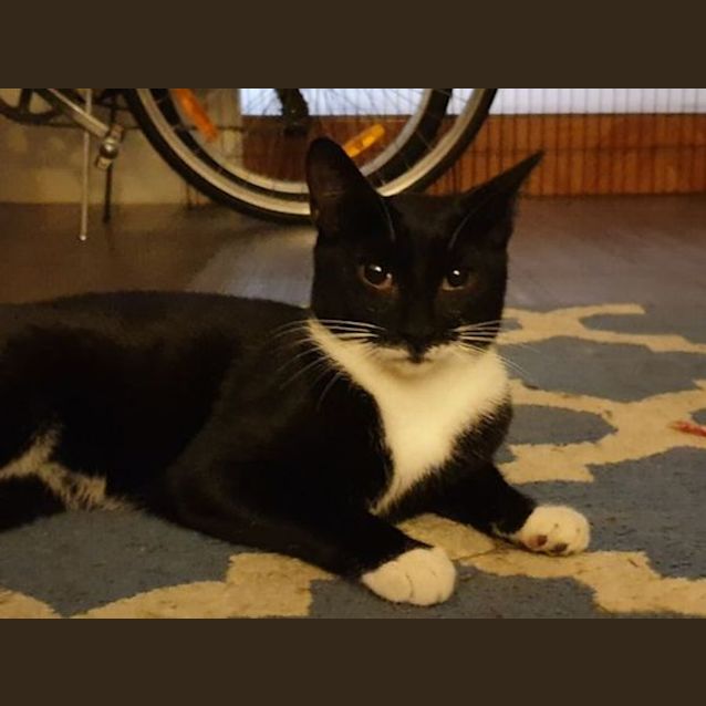 Photo of Biggs