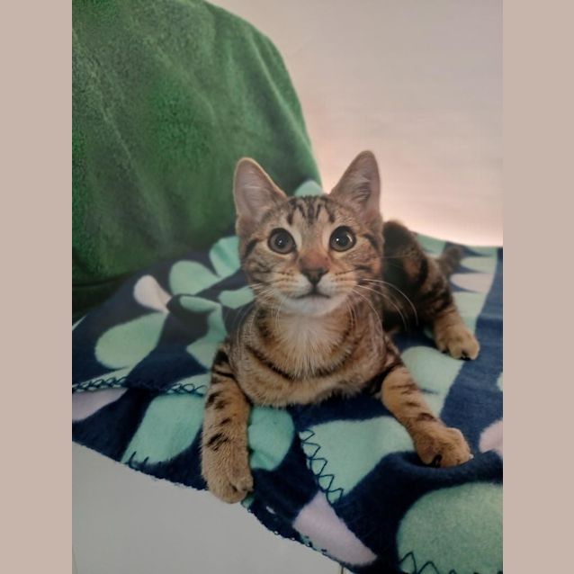 Photo of Matilda