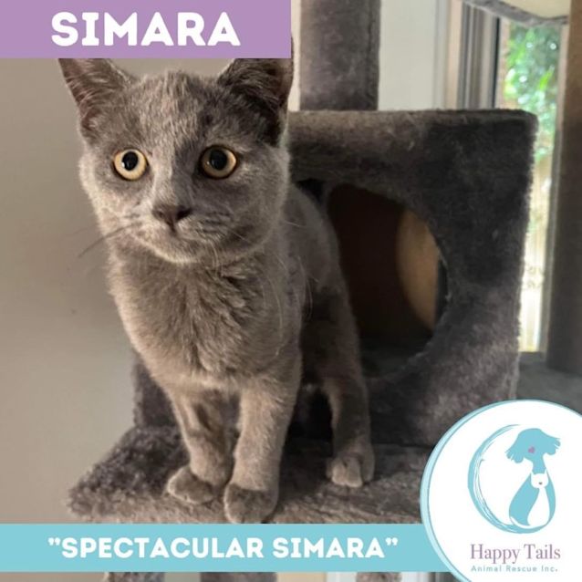 Photo of Simara