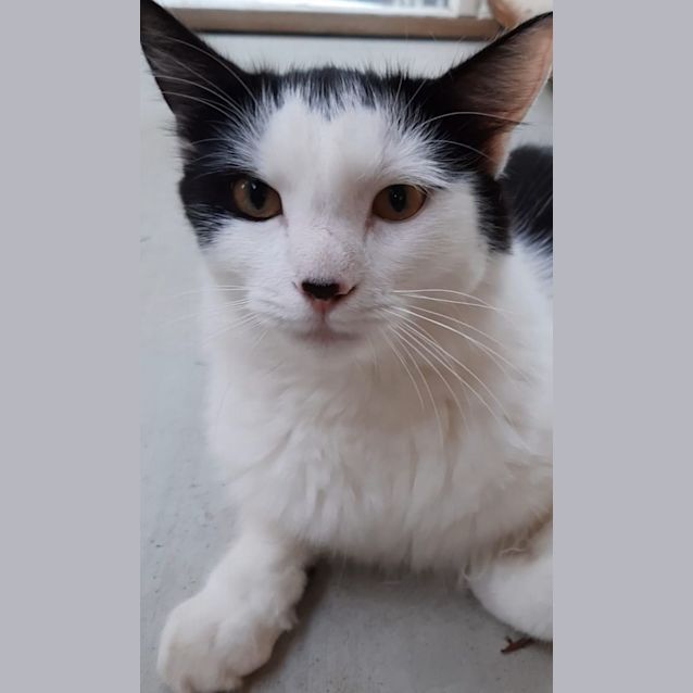 Photo of Jaffas (Wally)