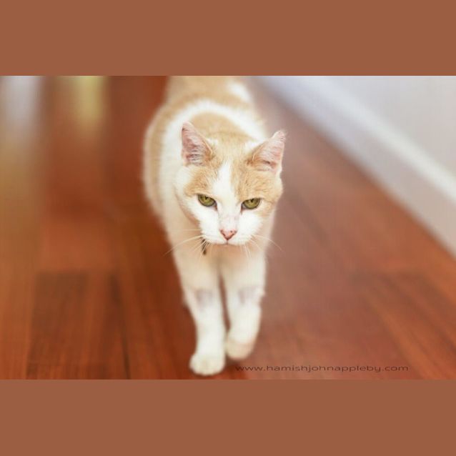 Photo of Sally Polkington 