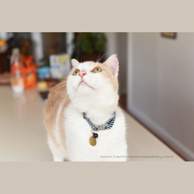 Photo of Sally Polkington 